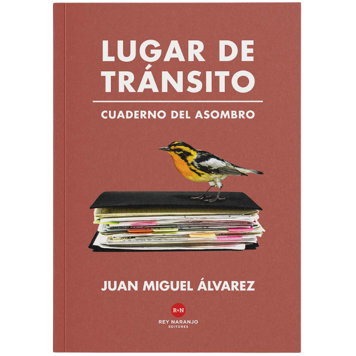 Lugar de tránsito - Juan Miguel Álvarez