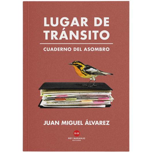 Lugar de tránsito - Juan Miguel Álvarez